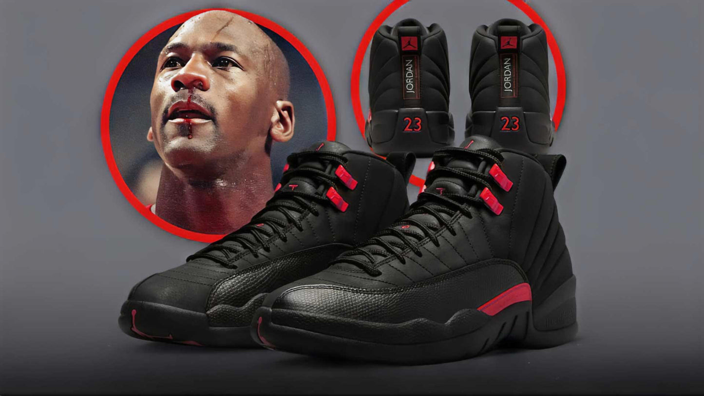 Jordan #12 ' BloodLine' Early Release